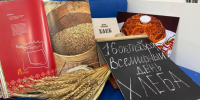Как прошел квест «Тайна пшеничного колоса» - Центральная городская библиотека