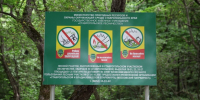 Внимание! Новые правила безопасности в лесах - Министерство природных ресурсов и охраны окружающей среды