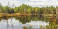 Ну какой здесь Копенгаген - Chepetsk.ru
