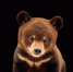 image - GazetaRB.Ru