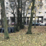Петербуржцы жалуются на неубранные листья во дворах и детских площадках - ГАZЕТА.СПб
