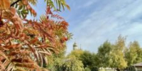 ОСЕНЬ ВО ВСЕЙ КРАСЕ… - Балаковские вести