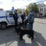 Полиция раскрыла 115 наркопреступлений в ходе акции в Челябинской области - Вечерний Челябинск