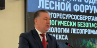 В Воронеже открыли международный форум по развитию лесной отрасли - VrnTimes.Ru