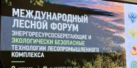ВГЛТУ принимает международный лесной форум FORESTRY-2026 - Обозреватель.Врн