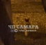 Лису заметили на набережной в Самаре ночью 18 октября - Самарская Газета