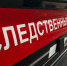 Следственным управлением СК России по Костромской области организована доследственная проверка по факту непринятия мер к отлову бродячих собак в городе Нее - Следственное управление