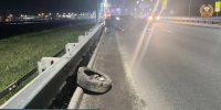 В Дзержинском районе Ярославля в ДТП погиб водитель «Шкоды» - Ярославский регион