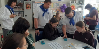 Профориентация по-новому: как превратить выбор будущего в увлекательную игру 1 - ЛТПИТУ