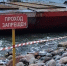 Севший на мель сухогруз привлек тысячи туристов в Калининградской области - Газета Краснодарские известия