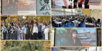 Что посмотреть: интересное за неделю от ИЦ «Балаковские вести» - Балаковские вести