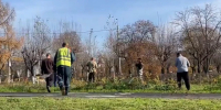 Во Владимире в 2026 году в рамках благоустройства высажено 565 новых деревьев - Комсомольская правда