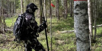 Фото Архангельского филиала ФГБУ «Рослесинфорг», предоставлено министерством природных ресурсов и ЛПК Архангельской области - Пресс-центр Правительства