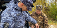 Росгвардия Коми за неделю изъяла 50 единиц оружия - Pg11.Ru
