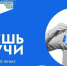 Конкурс видеороликов «Знаешь? Научи?» ждет заявки от вологодских медийщиков - Вологда.РФ