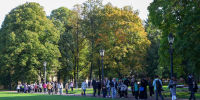 Деревья, которые Петербург подарил Вологде для городских общественных пространств, прибыли на Вологодчину - Петербургский дневник