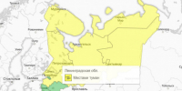 Ленинградскую область накроет туман - 47 новостей