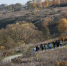 Свыше пяти тысяч деревьев высадили туляки на Куликовом поле - Молодой коммунар