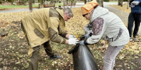 Более 5 тыс. мешков с опавшей листвой собрали участники общегородского субботника. - Город Курск