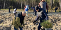 Алексей Чирков поддержал акцию «Сад памяти» - ЛДПР