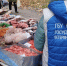 Контроль безопасности и качества продукции на сельскохозяйственных ярмарках города Симферополя - Комитет ветеринарии