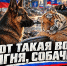 📌ТОП-5 «сюрпризов» от Госдумы: К чему готовить наши кошельки в 2027 году?📌 - КПРФ