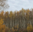Картинка - Regions.Ru