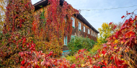 Бараков негасимый свет - Газета Ведомости