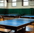 Россиянка Абраамян стала чемпионкой Европы по настольному теннису - ИА Общественная служба новостей
