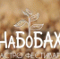 Фото: max.ru/id2801258460_biz - Амурское областное телевидение