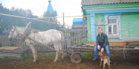 Блогер-фронтовик - Столица С