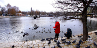 Бабье лето в Уфе завершается - Сетевое издание Ufaved.Info