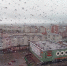 Дождь - Новый Компаньон