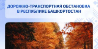 Дорожно-транспортная обстановка в Республике Башкортостан - Министерство транспорта и дорожного хозяйства