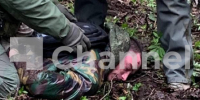 В Ленобласти задержали подозреваемого в убийстве полицейского в Кингисеппе - 47Channel.Ru