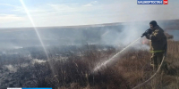 В Башкортостане за сутки ликвидирован один лесной пожар и шесть очагов возгорания сухой растительности | ГТРК «Башкортостан» - ГТРК Башкортостан