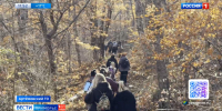 В Артеме приступили к созданию первого туристического маршрута "Артемкина тропа" - ГТРК Владивосток