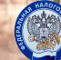 Эксперт Маслова напомнила, какие налоги нужно оплатить до 1 декабря - ИА Татар-информ