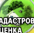 Извещение о размещении проекта отчета об итогах государственной кадастровой оценки, порядке и сроках предоставления замечаний к проекту отчета. - Лебяжьевский муниципальный округ
