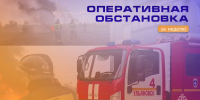 Оперативная               обстановка                      за минувшую неделю - ГУ МЧС Ульяновской области