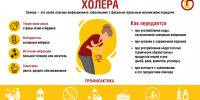 Холера: история болезни - Роспотребнадзор