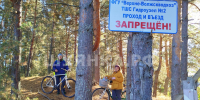 По Тезинской лестнице - Шуйские Известия