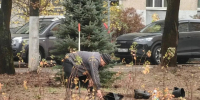 Работы под контролем - Городской округ Красногорск