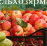 Готовимся к сельхозярмарке в Тетюшах! - Тетюшский район