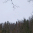 Картинка - Regions.Ru