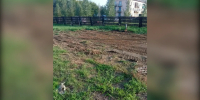 В Канске с предпринимателя взыскали 400 тысяч рублей за ожоги у ребенка - Комсомольская Правда