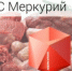 В Кузбассе Россельхознадзор зафиксировал несоблюдение требований прослеживаемости при производстве мясной продукции - ИА Новости Кузбасса
