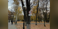 В самарском парке Гагарина установили таблички с лимитом скорости для самокатов - Комсомольская Правда Самара