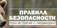 Памятка по перечию действий в целях предотвращения рисков встреч с бурым медведем. - Администрация