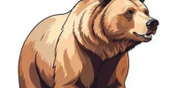Памятка по перечню действий в целях предотвращения и минимизации рисков встреч с бурым медведем - Тейковский район